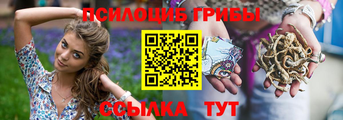 Псилоцибиновые грибы Psilocybe Кушва