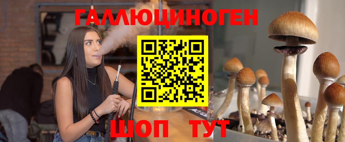 Псилоцибиновые грибы прущие грибы  купить наркотики сайты  Кушва  Галлюциногенные грибы GOLDEN TEACHER  Вход с VPN 